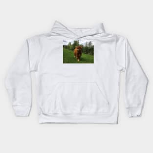 Scottish Highland Cattle Calf 2001 Kids Hoodie